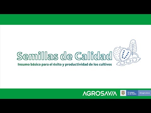 Semillas de calidad: Insumo básico para el éxito y productividad de los cultivos.
