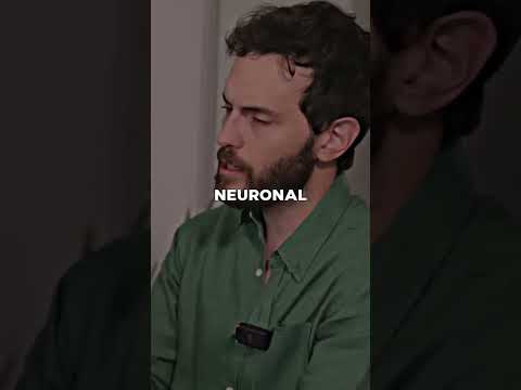 Lo Que La Meditación Le Hace a Tu Cerebro
