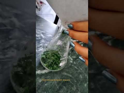 Green Synthesis of Silver Nanoparticles #microbiology #lablife #student #education