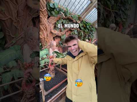 Cual es el mejor seguro de viaje internacional? ✈️🔐​⁠@heymondo #segurodeviaje #viajes #viajar
