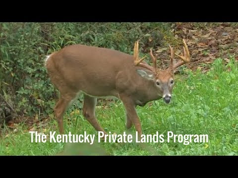 The Kentucky Private Lands Program