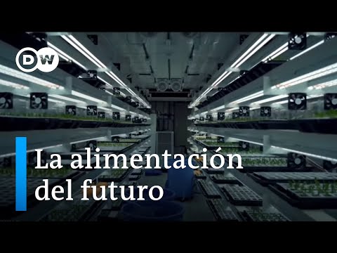 Soluciones para alimentar al mundo en el futuro