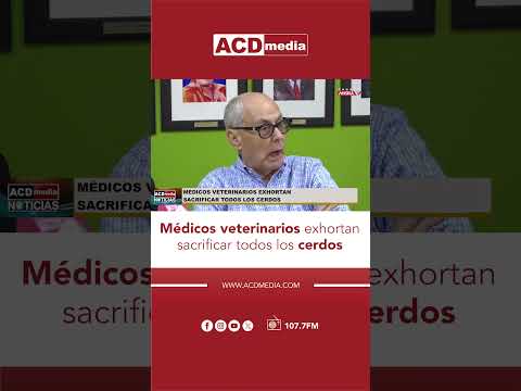 Médicos veterinarios exhortan sacrificar todos los cerdos